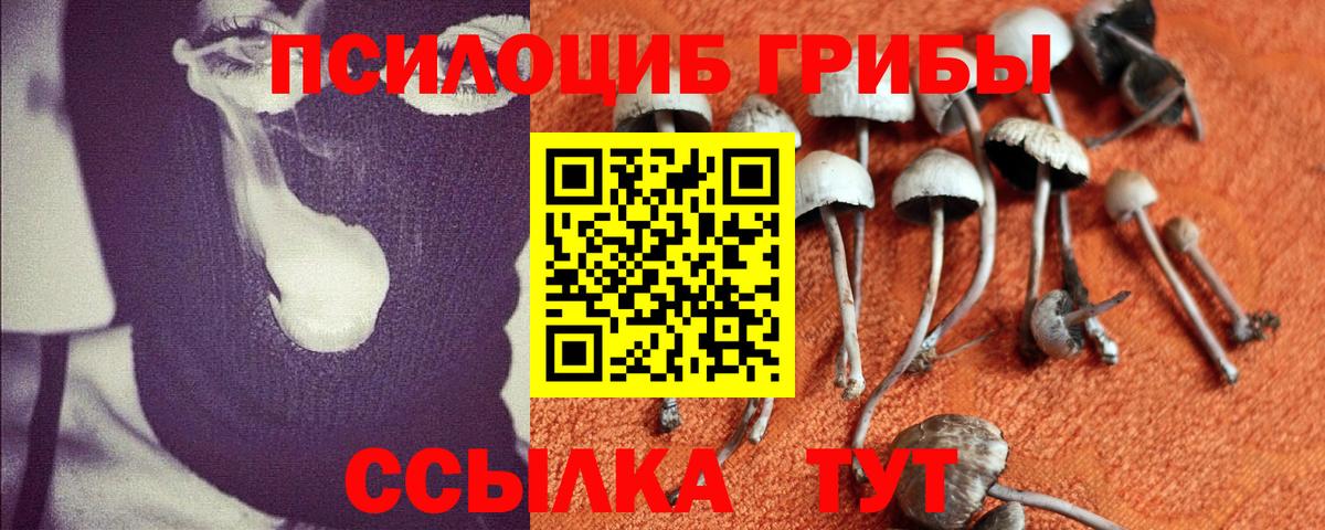 Галлюциногенные грибы Psilocybe Старая Купавна